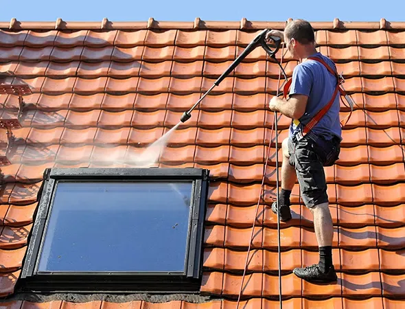 Roof Soft Washing