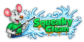 Squeky Clean Logo